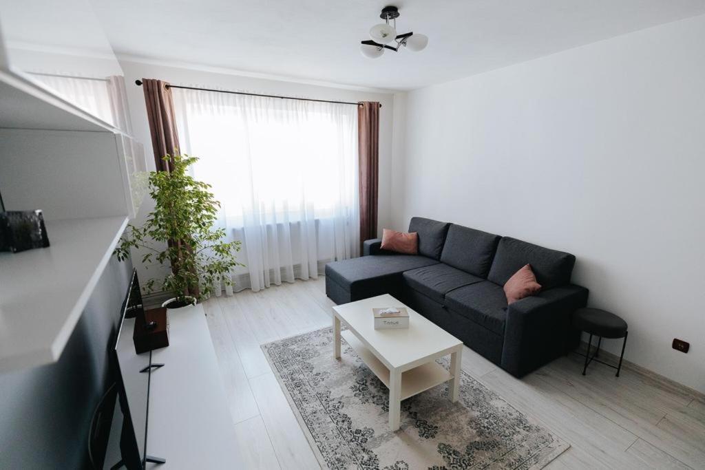 Scandinavian House Apartment ทาร์กู จิอู ภายนอก รูปภาพ